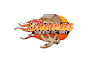 design top quality elegant race team logo