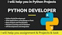 do python development and debugging services