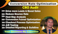 do conversion rate optimization to your website as a cro expert focus on ROI
