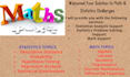 offer you expert math and stats tutoring