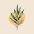 design elegant boho, hand drawn, botanical logo design