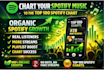 chart your spotify music and organic spotify growth to top 100 spotify chart