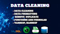 do professional data cleaning and formatting in excel, google sheets, and sql