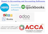 do bookkeeping and prepare financial statement also for ifza license renewal