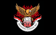 make outstanding phoenix mascot logo with express delivery