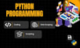 do python programming, coding, scripting, automation and web scraping