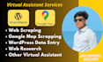 your virtual assistant for wordpress data entry or google map scraping