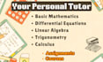tutor you math calculus linear algebra statistics discrete math and physics