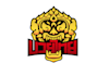 design thai fight team logo