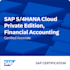 sap fico certified consultant