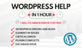 do elementor fix and provide wordpress help of any kind