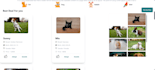 develop a fast and responsive website with tailwind CSS and react