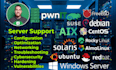 identify and resolve your server issues