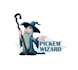 create beautiful full body wizard logo