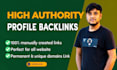 white hat SEO profile backlinks on high da link building google website ranking