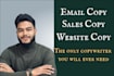 write sales driven email copy