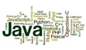 write and debug python, java, cpp, c, and sql code