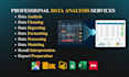 do data cleaning, formatting, processing, analysis and reporting