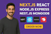 expert web developer with node js react js and nextjs