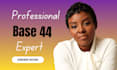 build base 44, base 44 integration, base 44 automation, base 44 web app fix base