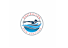 design creating a swim coaching company logo