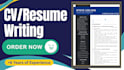 deliver you a professional resume or CV