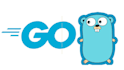 do code fix or build golang projects, go programming language