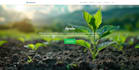 create modern looking responsive website