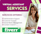 do professional virtual assistant