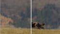 do vfx cleanup, object removal, and screen replacement