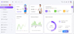 develop a professional admin dashboard