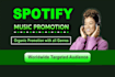 do professional spotify track promotion through ads campaign