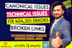 fix 404,301  broken links and gsc canonical issues on your website audit