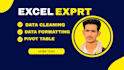 do ms excel or CSV data cleaning and anlysis formatting