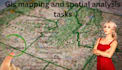 do high quality gis mapping and spatial analysis tasks