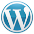 offer website development and maintenance