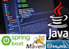 build java backend apis using spring boot