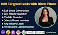do collect direct phone cell phone email lead generation