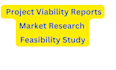 do market research, project viability reports and feasibility study