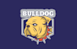 create a custom bulldog logo with express delivery