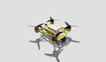individual customised 3d model
