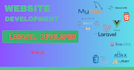 build laravel  vuejs reactjs livewire inertia project