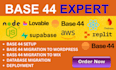 fix base44 bugs migrate base44 to wordpress base44 debugging base44 website