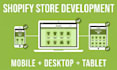 provide shopify store development