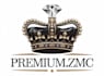 do a premium logo design