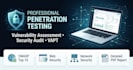 do penetration testing and security audits