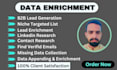 do b2b lead generation, data enrichment