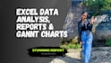 analyze data, create stunning reports in excel, powerpoint gantt chart in 24hrs