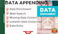 do data enrichment appending and web search