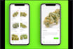 build cannabis app, marijuana delivery website, marijuana app like simleaf